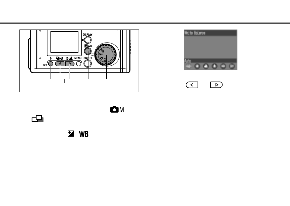 Canon A20 User Manual | Page 50 / 124