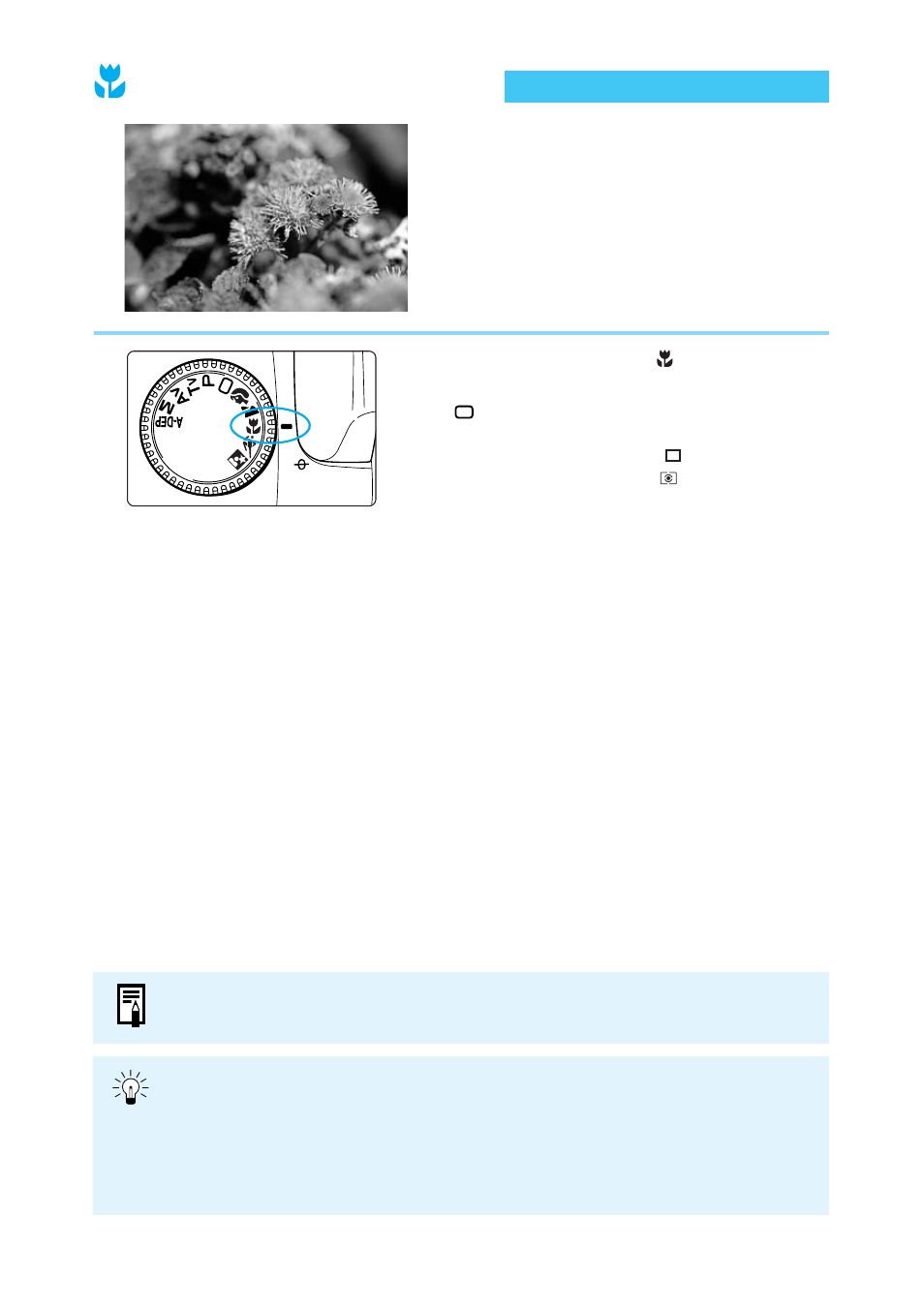 Close-up mode | Canon BP-511 User Manual | Page 46 / 148