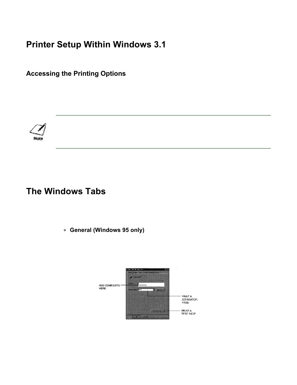 Printer setup within windows 3.1, The windows tabs, Accessing the printing options | The windows tab | Canon BJC-80 User Manual | Page 14 / 101