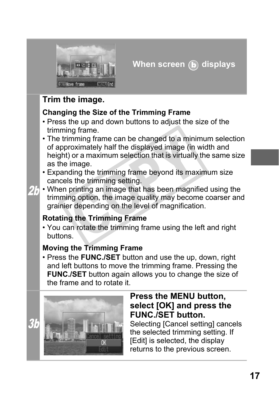 Cop y | Canon DIRECT PRINT CDI-E350-020 User Manual | Page 19 / 82