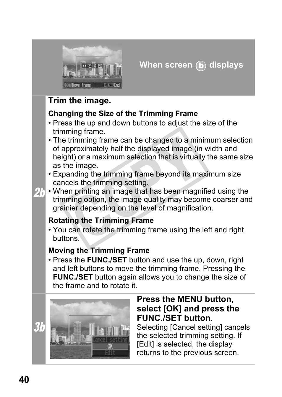 Cop y | Canon DIRECT PRINT CDI-E350-020 User Manual | Page 42 / 82