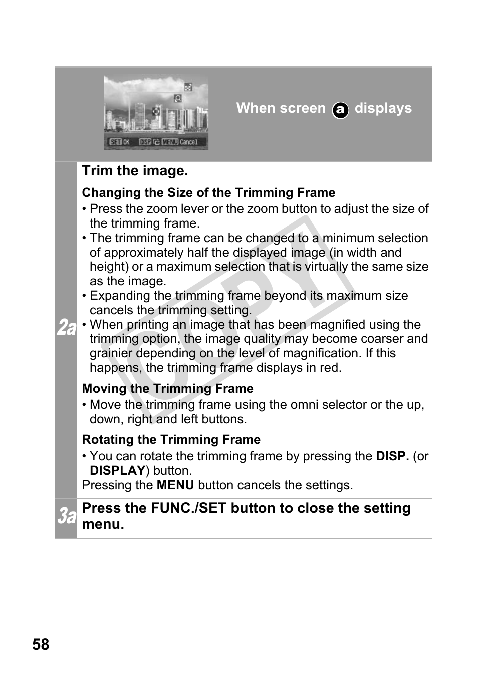 Cop y | Canon DIRECT PRINT CDI-E350-020 User Manual | Page 60 / 82