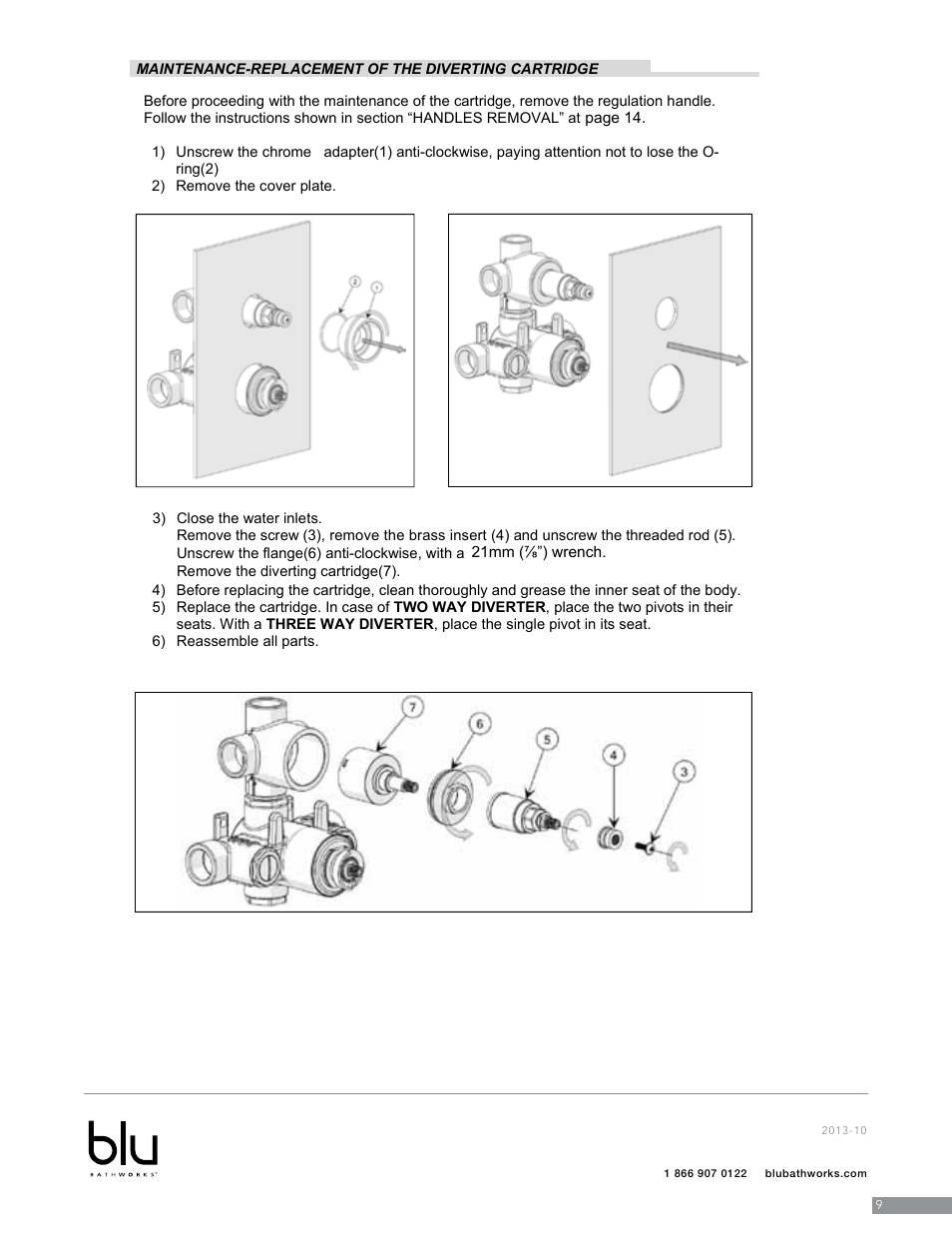 Blu Bathworks TSP922 User Manual | Page 10 / 28