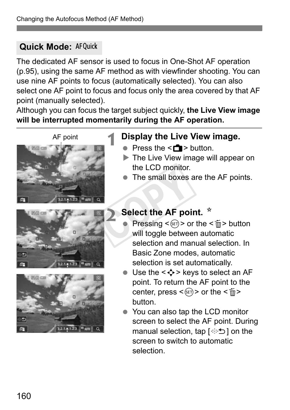 Cop y | Canon 650D User Manual | Page 160 / 372