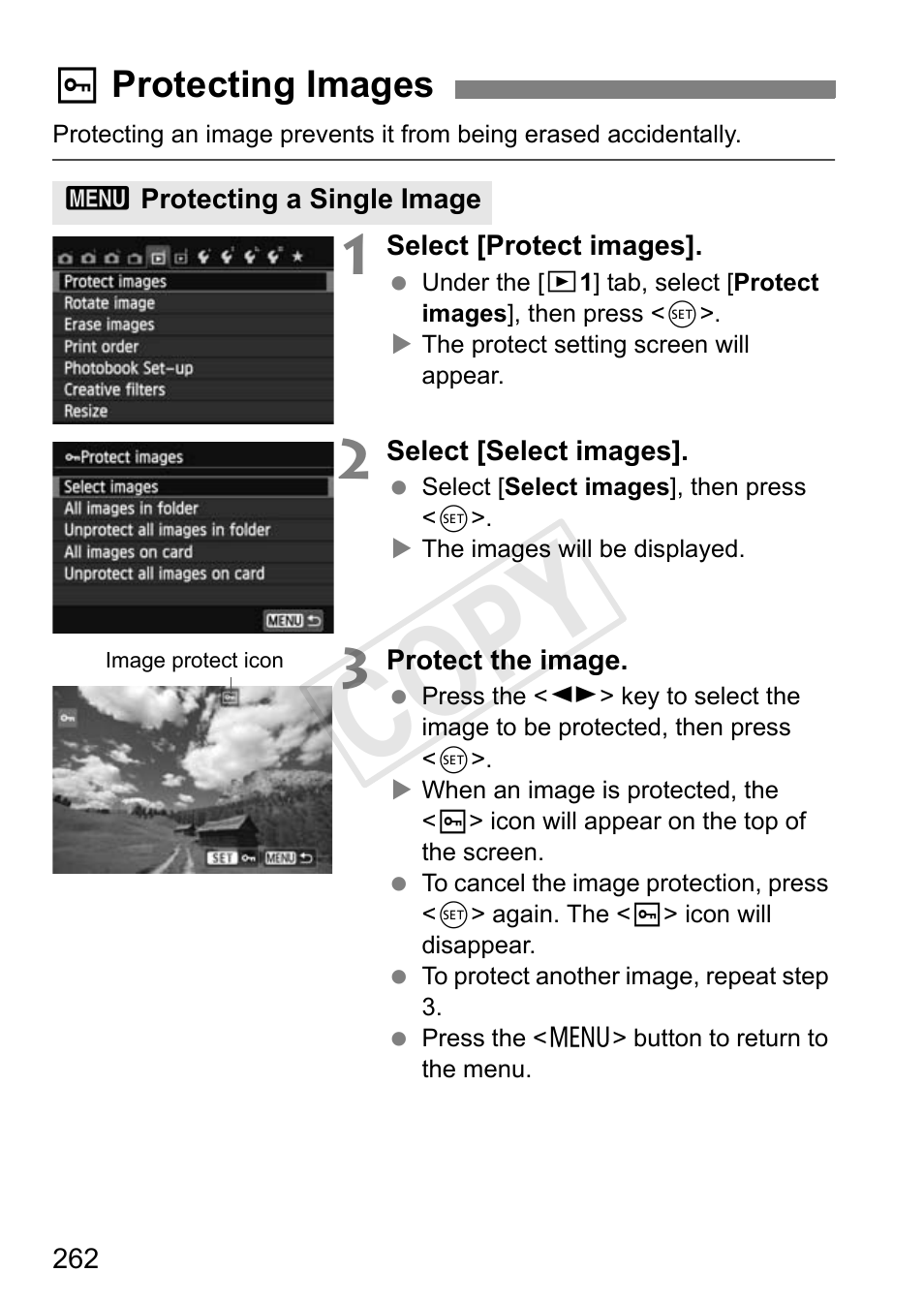 Cop y | Canon 650D User Manual | Page 262 / 372