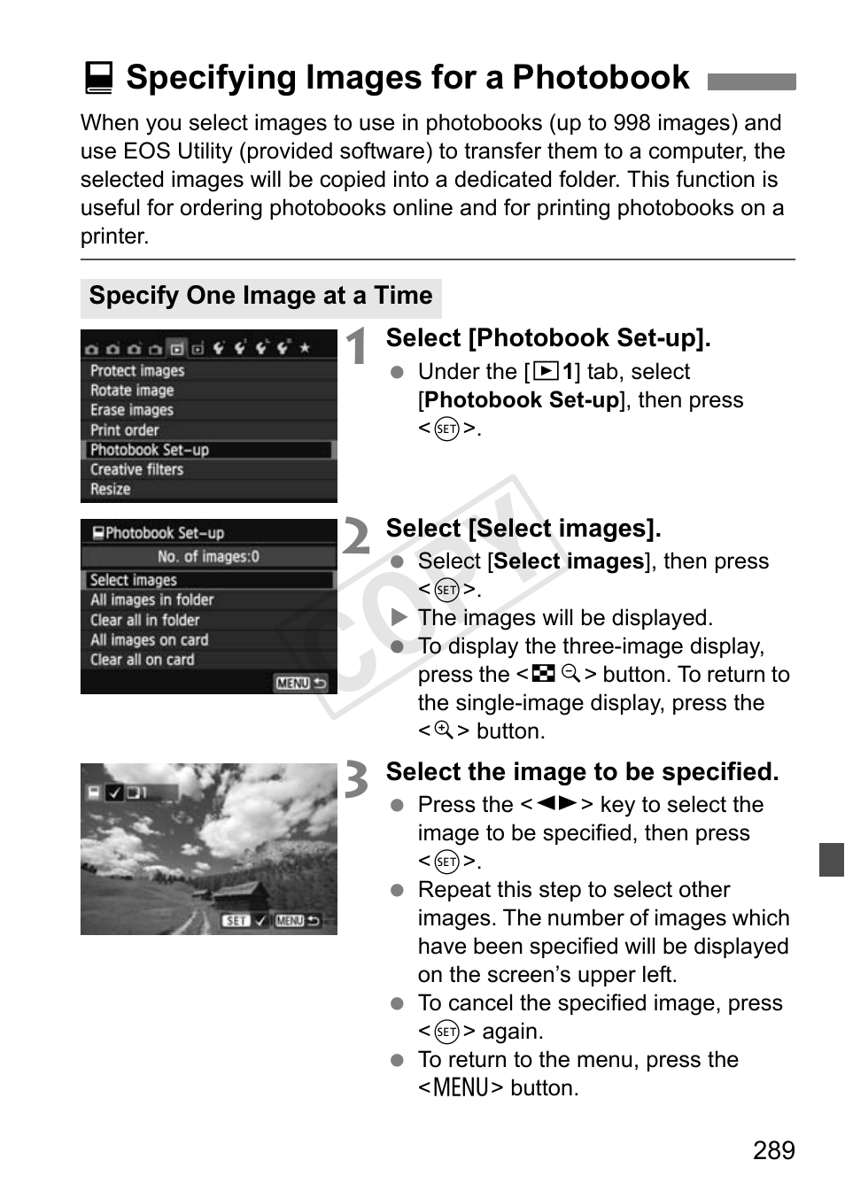 Cop y | Canon 650D User Manual | Page 289 / 372