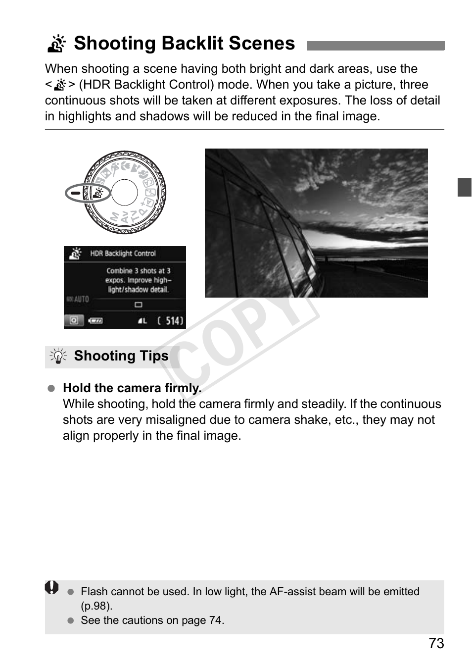 Cop y | Canon 650D User Manual | Page 73 / 372
