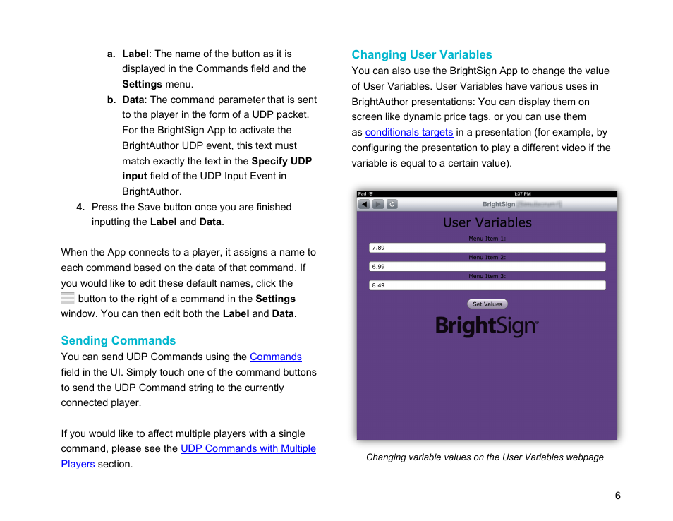 Sending commands, Changing user variables, User | BrightSign App User Guide v. 1.0.1 User Manual | Page 8 / 14