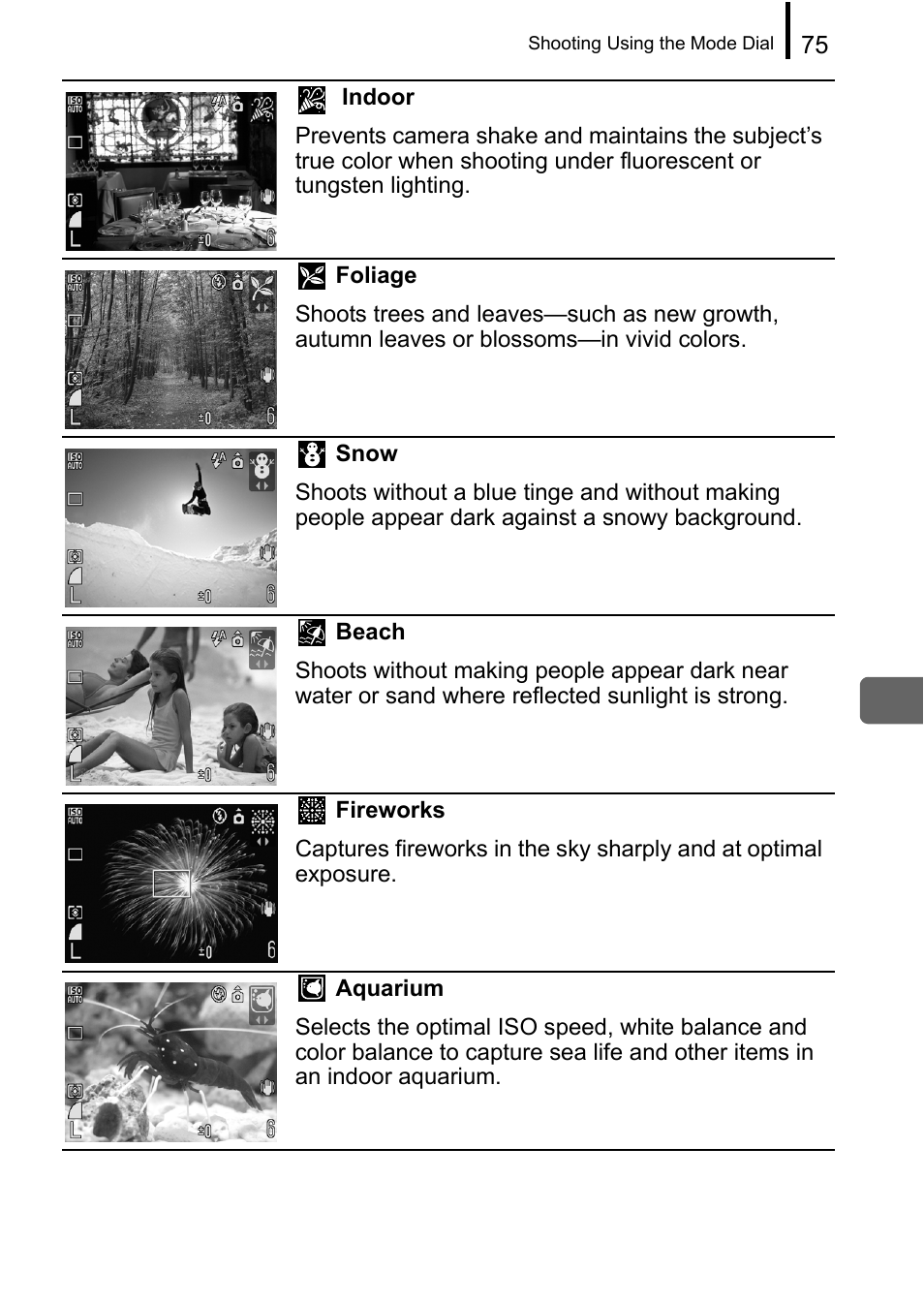 Canon A650 IS User Manual | Page 77 / 213