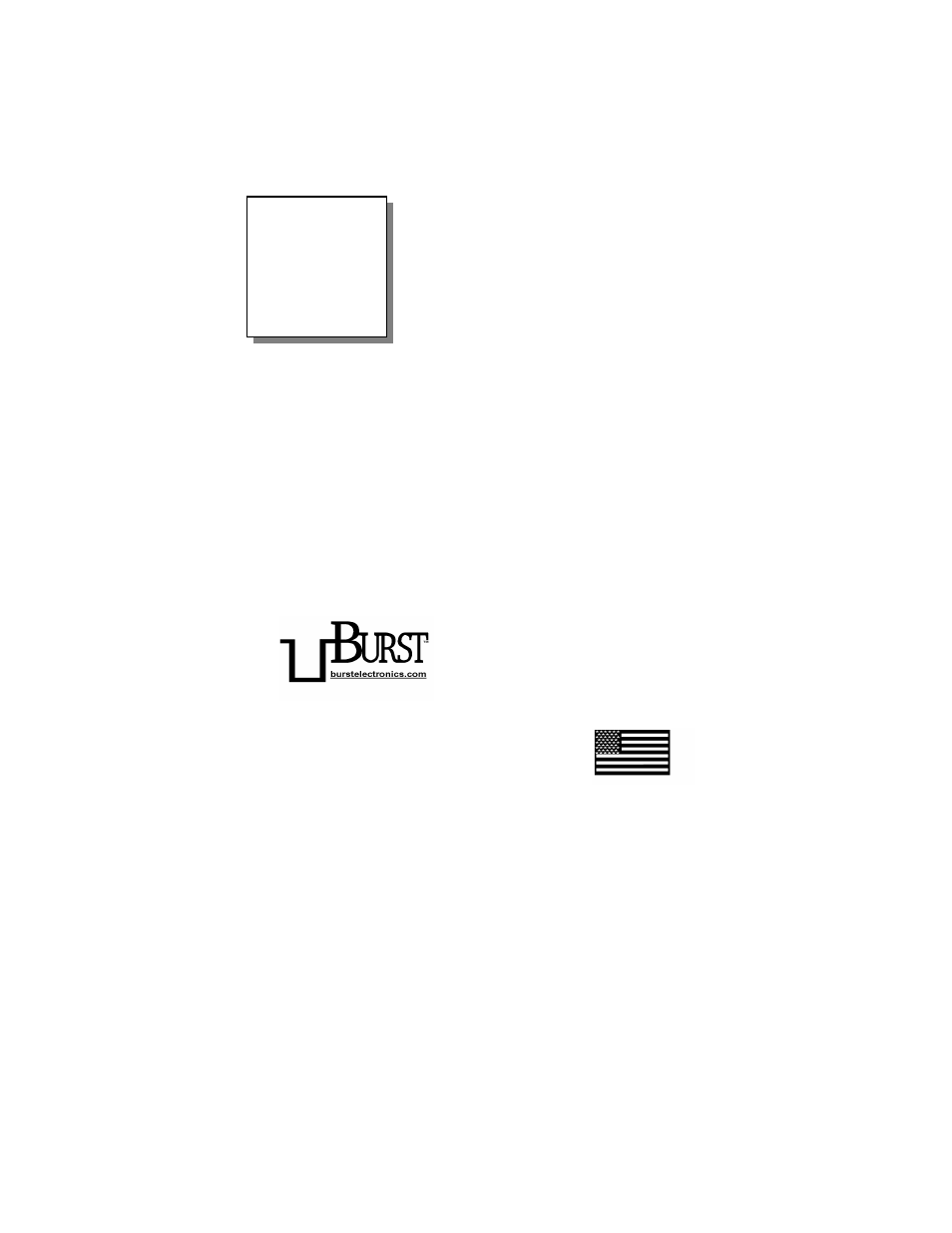 Burst Electronics BG2 NTSC User Manual | 4 pages