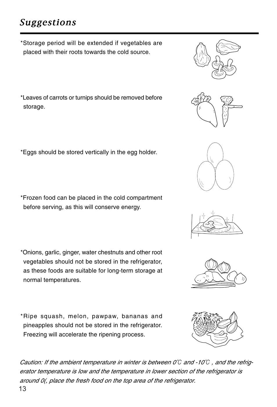 Suggestions | Caple Ri552FF User Manual | Page 16 / 26