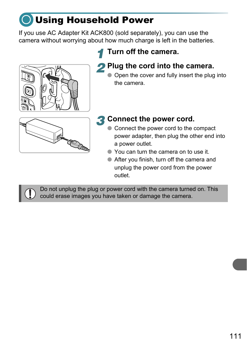 Using household power, Wer input) terminal, P. 111) | Canon PowerShot A495 User Manual | Page 111 / 131