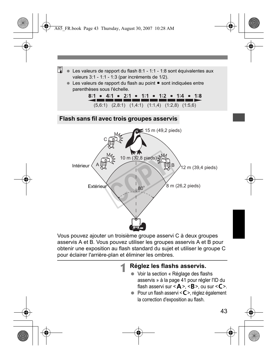 Cop y | Canon Speedlite 580EX II User Manual | Page 102 / 176