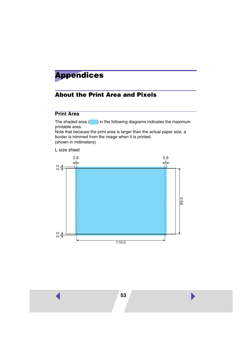 Appendices, About the print area and pixels, Print area | Canon PRINTER DRIVER CP-300 User Manual | Page 53 / 61