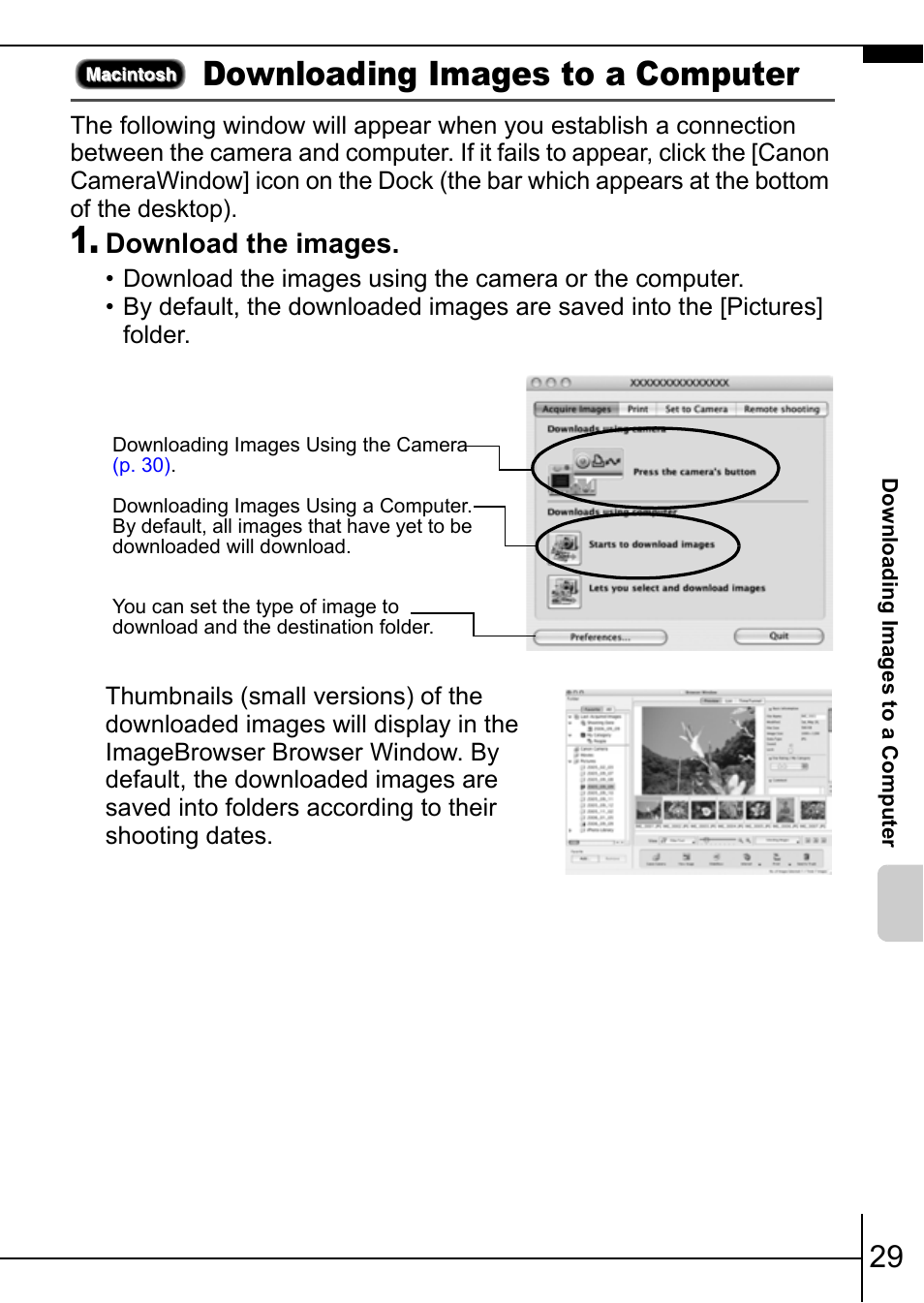 Downloading images to a computer, Download the images | Canon IXUS 900TI User Manual | Page 31 / 37