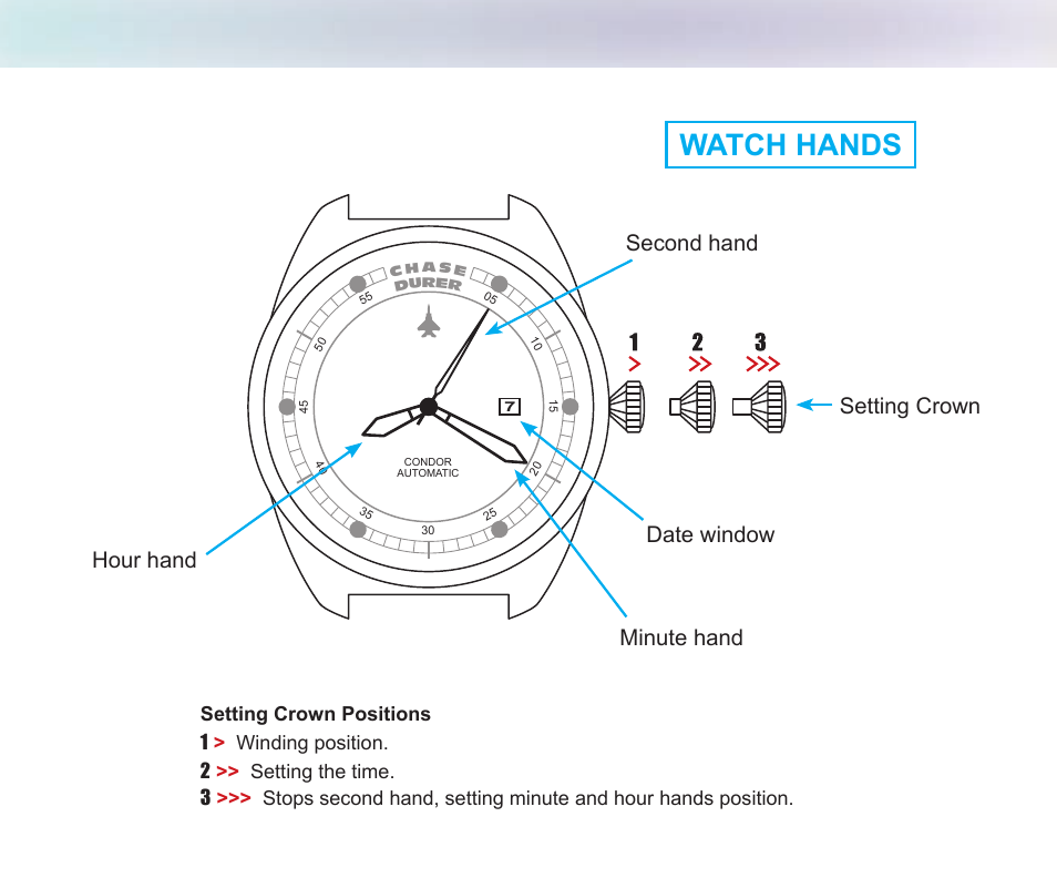 Watch hands | Chase-Durer Condor Chrongraph/Automatic User Manual | Page 10 / 12