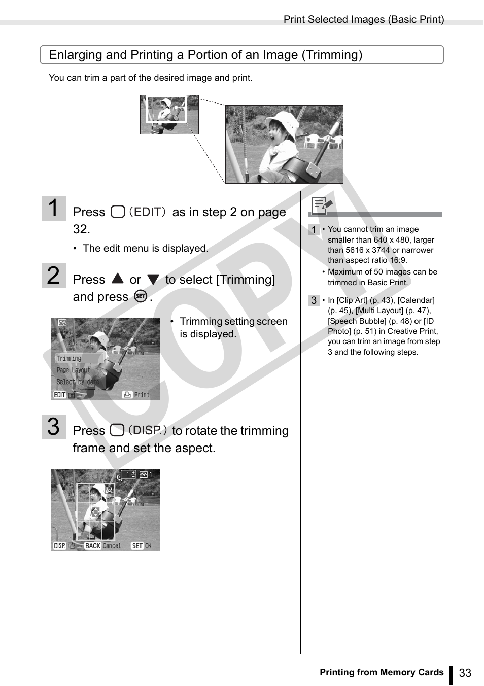 Co py | Canon SELPHY ES3 CDP-E063-010 User Manual | Page 33 / 124