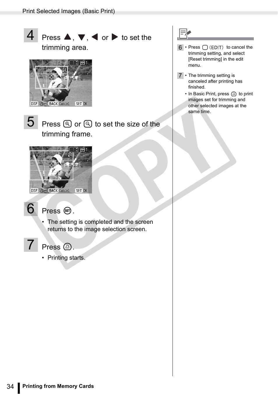 Co py | Canon SELPHY ES3 CDP-E063-010 User Manual | Page 34 / 124