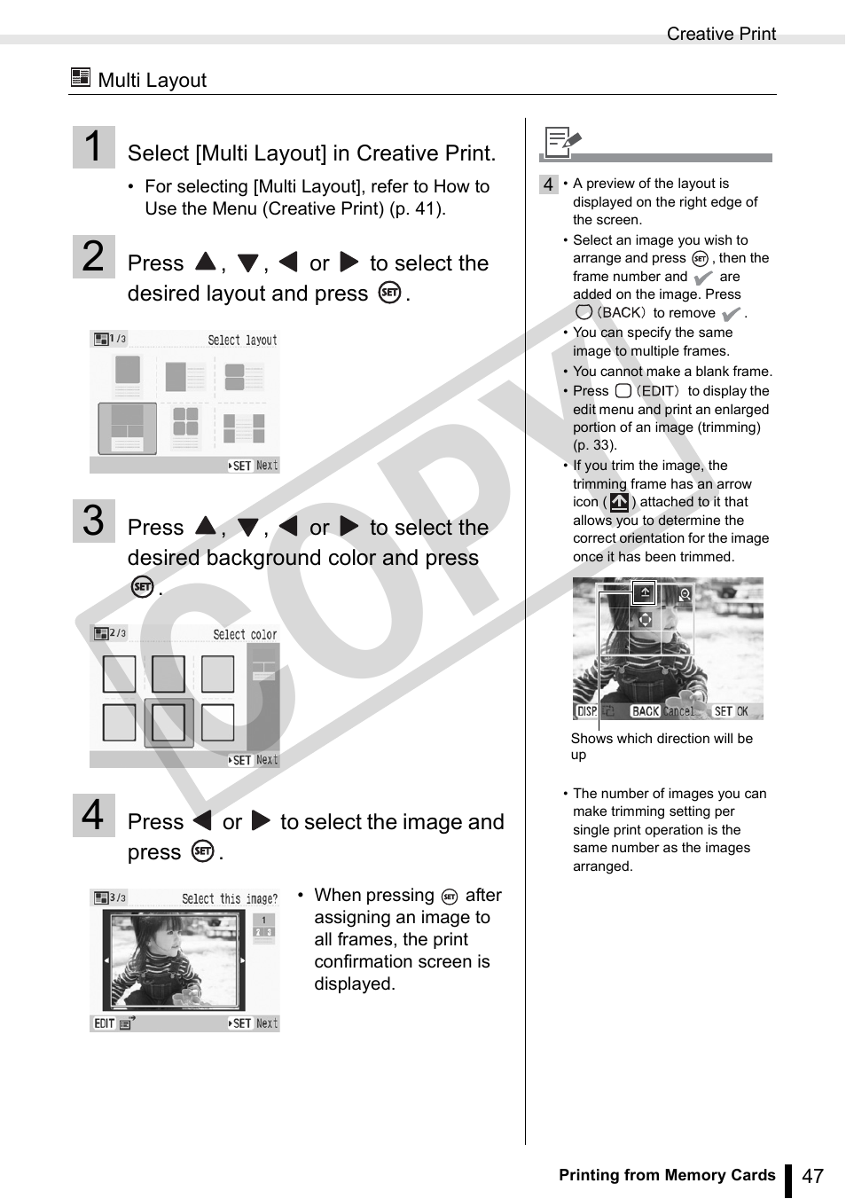Co py | Canon SELPHY ES3 CDP-E063-010 User Manual | Page 47 / 124