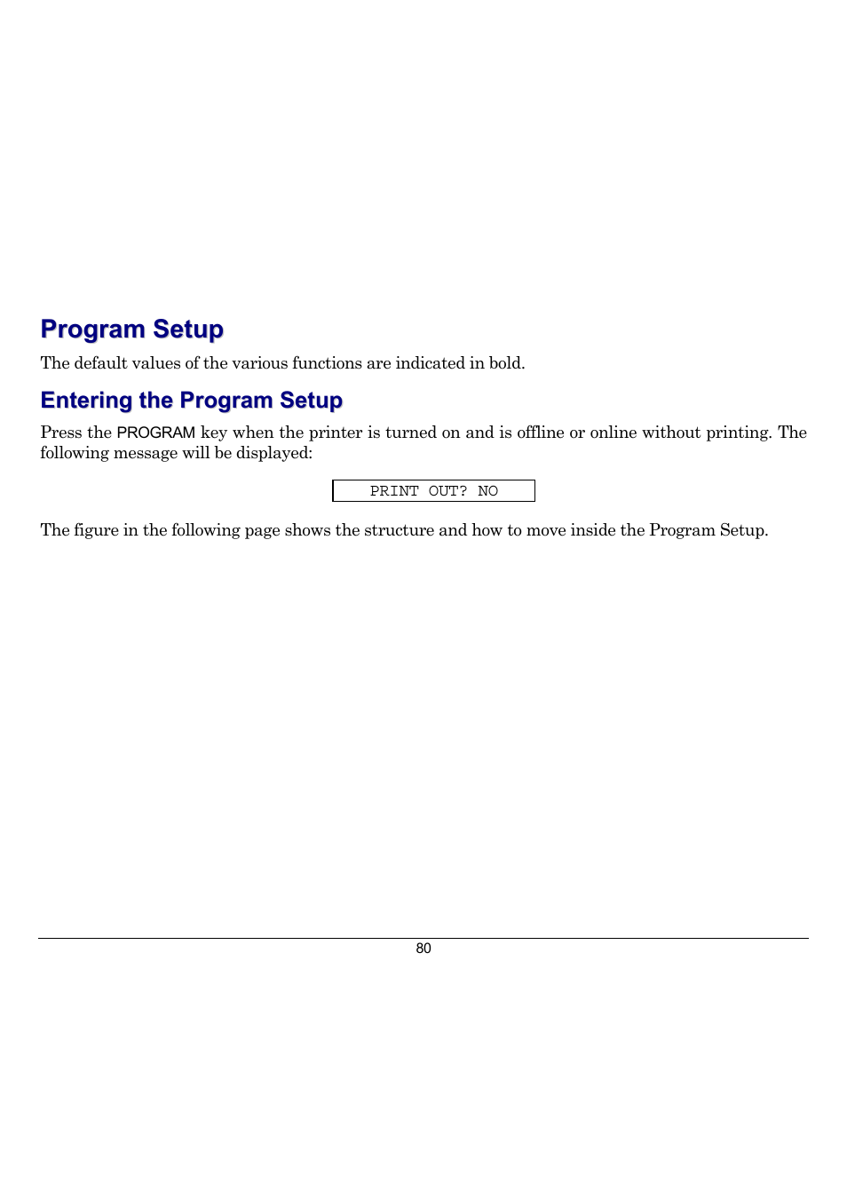 Program setup, Entering the program setup | Compuprint 10300 User Manual | Page 84 / 170
