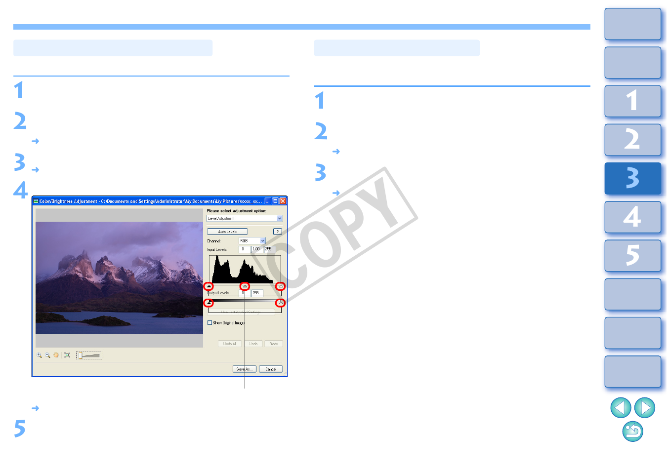 Adjusting the brightness level, Adjusting the tone curve, Cop y | Canon XT User Manual | Page 66 / 93
