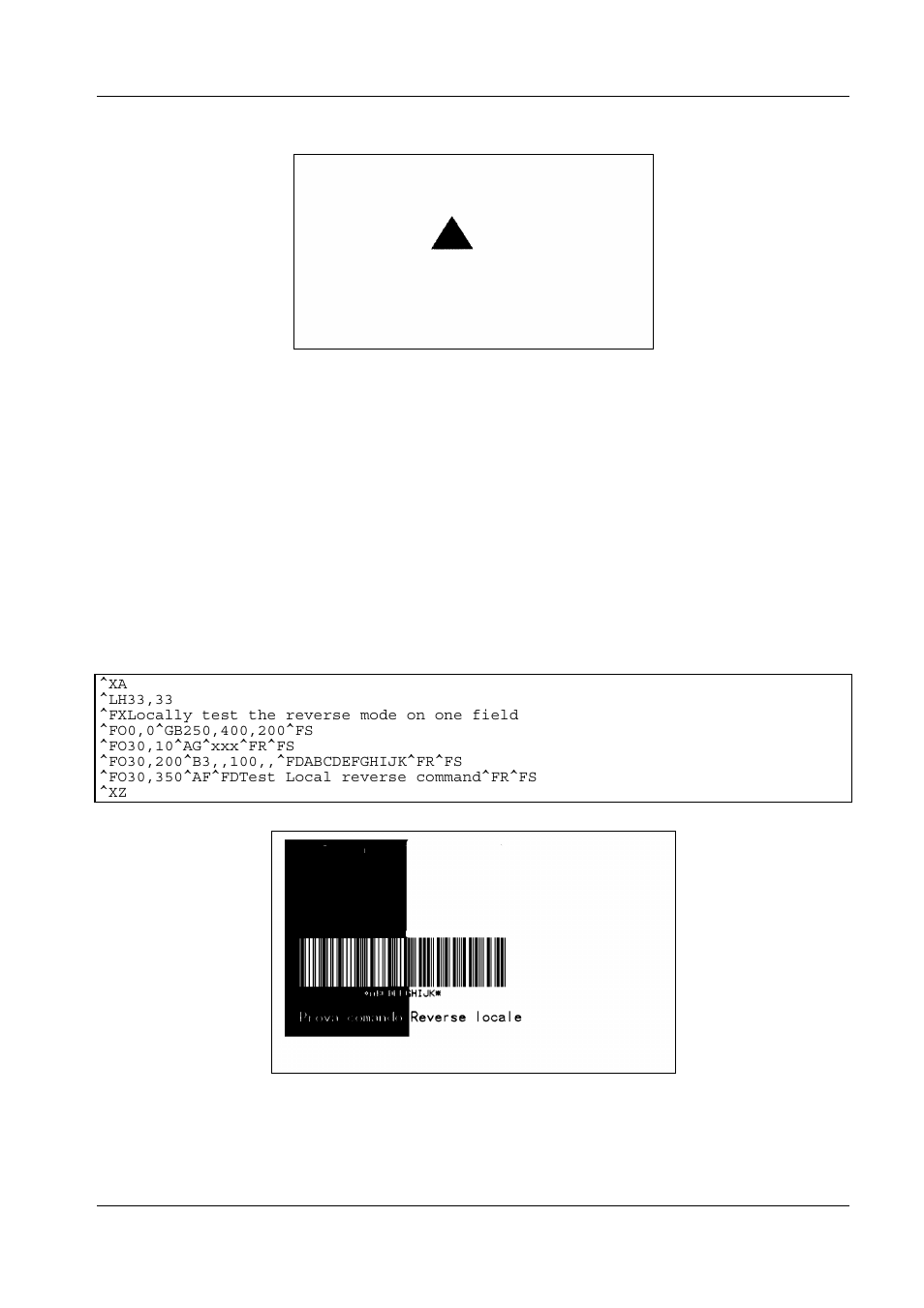 Example of reverse, 3 example of reverse | Compuprint 6314 CZL User Manual | Page 55 / 62