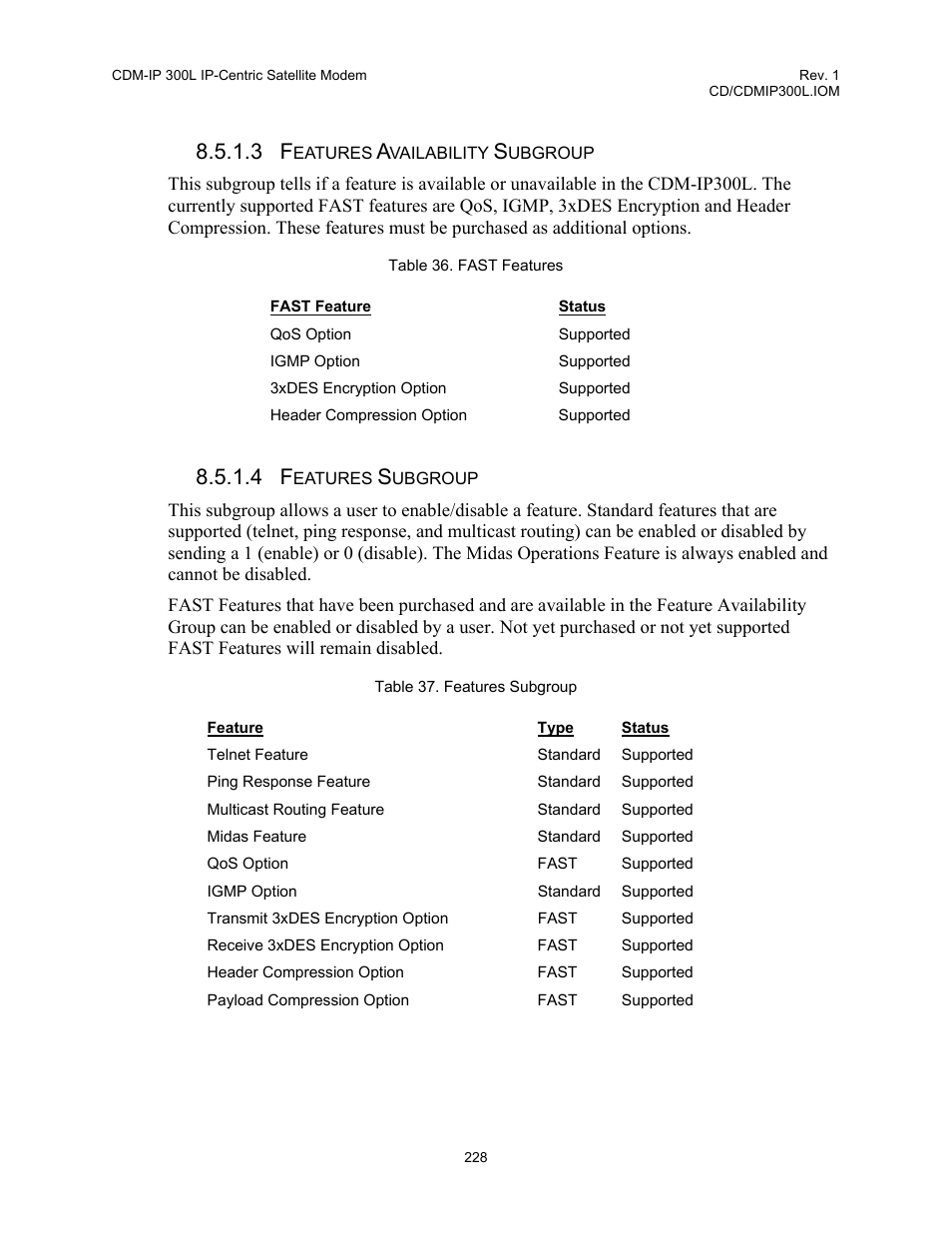 Comtech EF Data CDM-IP 300L User Manual | Page 254 / 354