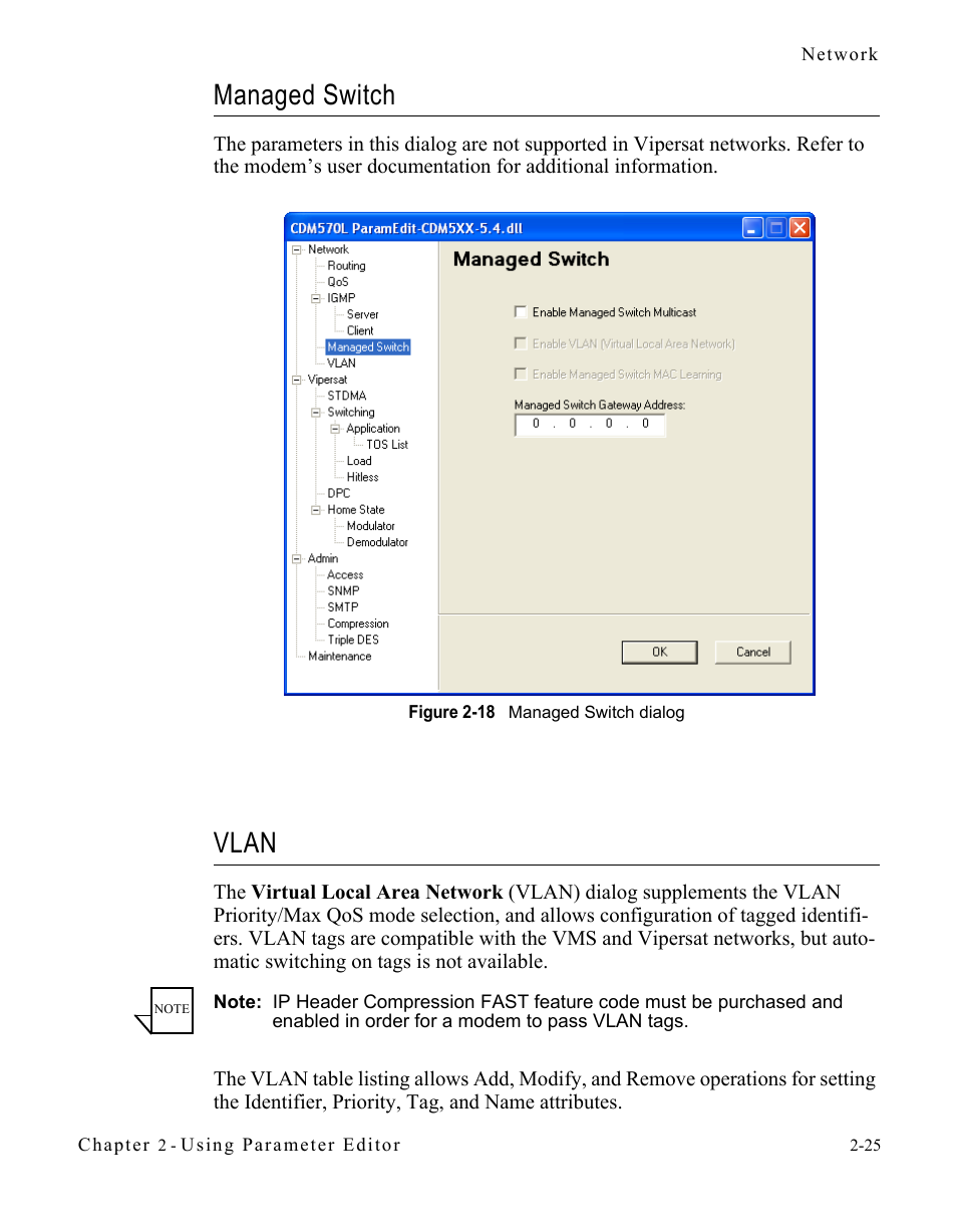 Managed switch, Vlan, Managed switch -25 vlan -25 | Figure 2-18 managed switch dialog -25 | Comtech EF Data CDM-570/L Vipersat Parameter Editor User Manual | Page 41 / 96