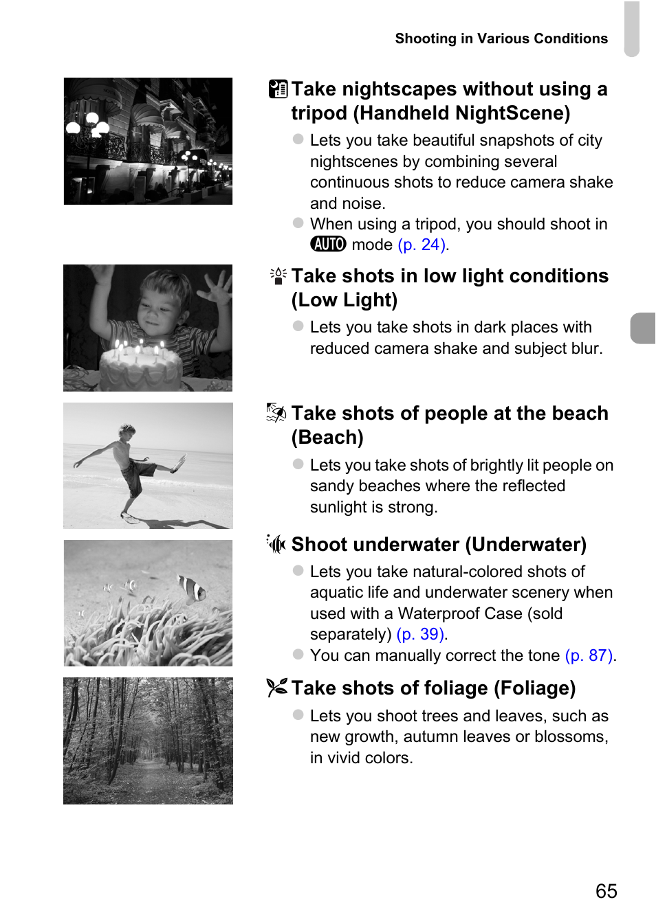 P. 65) | Canon 220 HS User Manual | Page 65 / 209