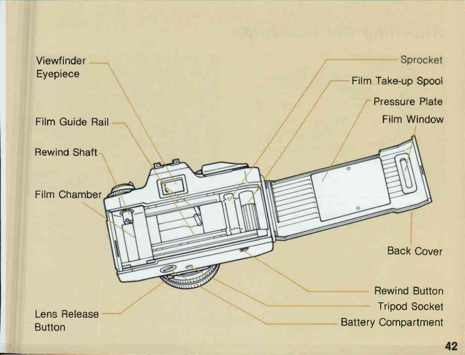 Introduction | Canon T 60 User Manual | Page 5 / 85