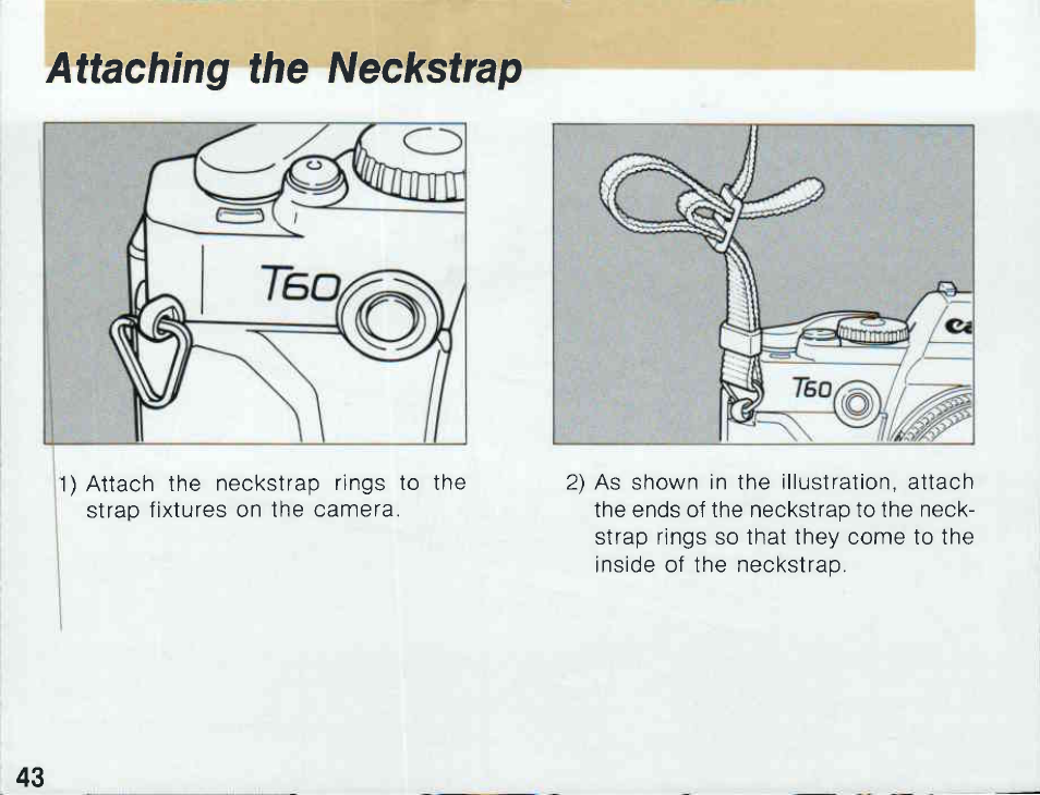 Canon T 60 User Manual | Page 6 / 85