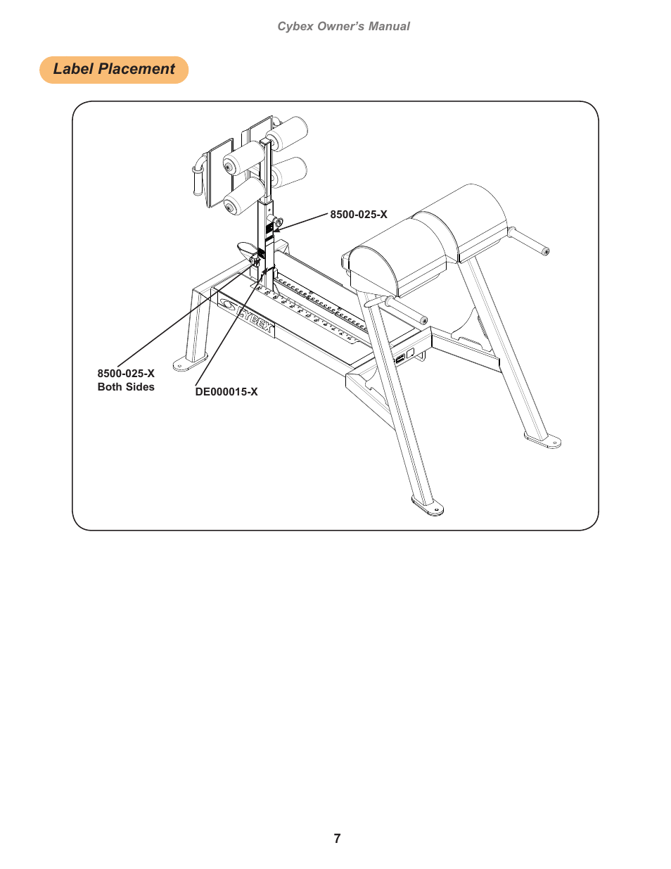 Label placement | Cybex 19300 Big Iron Glute Ham User Manual | Page 7 / 18