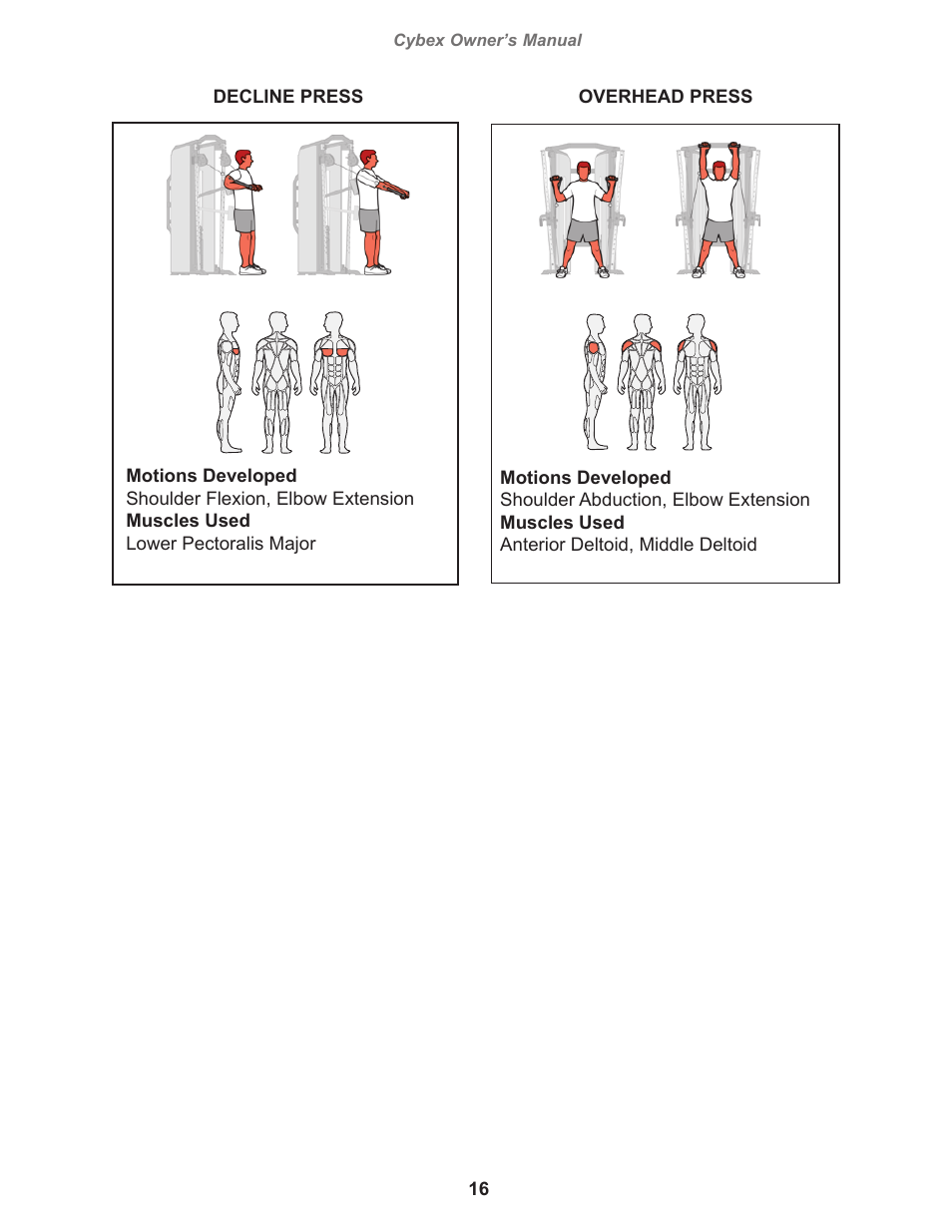 Cybex 18010 Bravo Press User Manual | Page 16 / 28