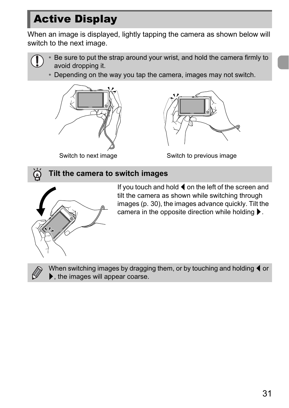 Active display | Canon IXUS 1100 HS User Manual | Page 31 / 209