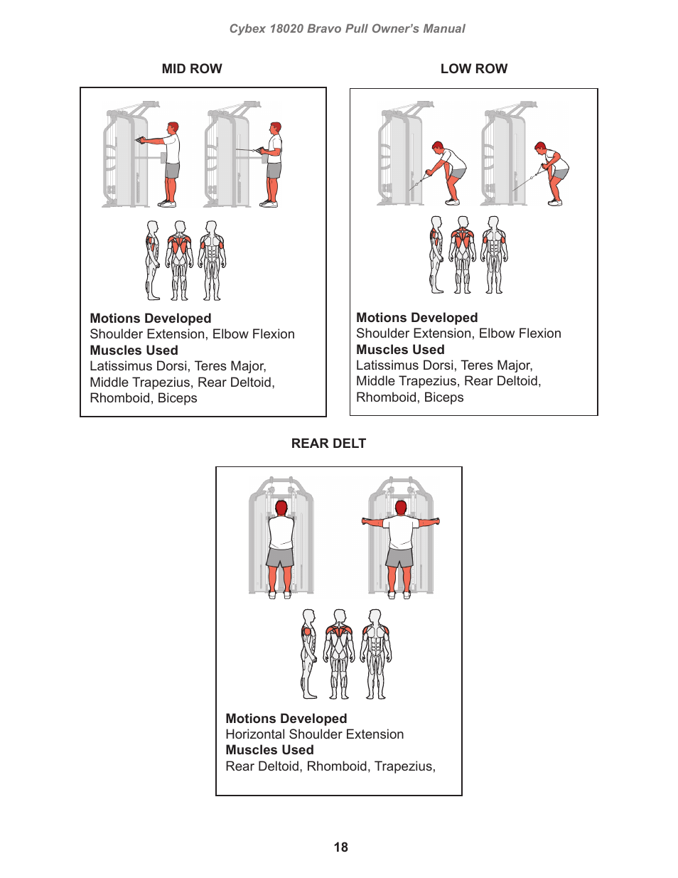 Cybex 18020 Bravo Pull User Manual | Page 18 / 32