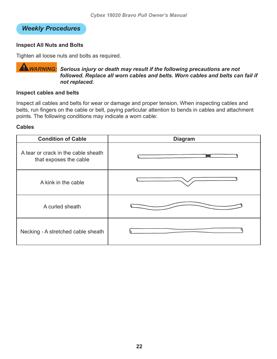 Weekly procedures | Cybex 18020 Bravo Pull User Manual | Page 22 / 32