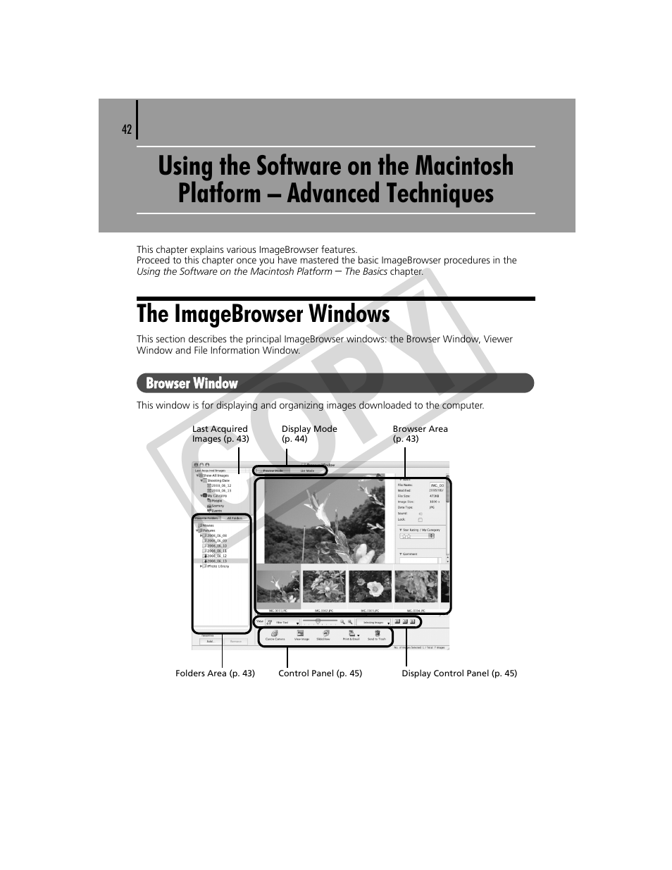 Using the software on the macintosh platform, Advanced techniques, The imagebrowser windows | Co py | Canon CDP-E074-030 User Manual | Page 42 / 64