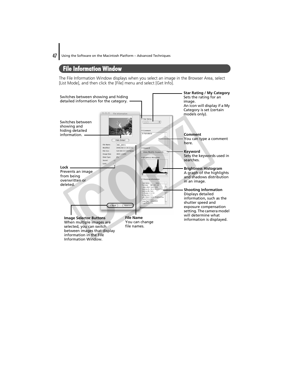 Co py | Canon CDP-E074-030 User Manual | Page 47 / 64