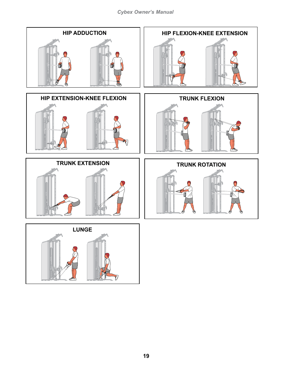 Cybex 18080 Bravo Pro User Manual | Page 19 / 32