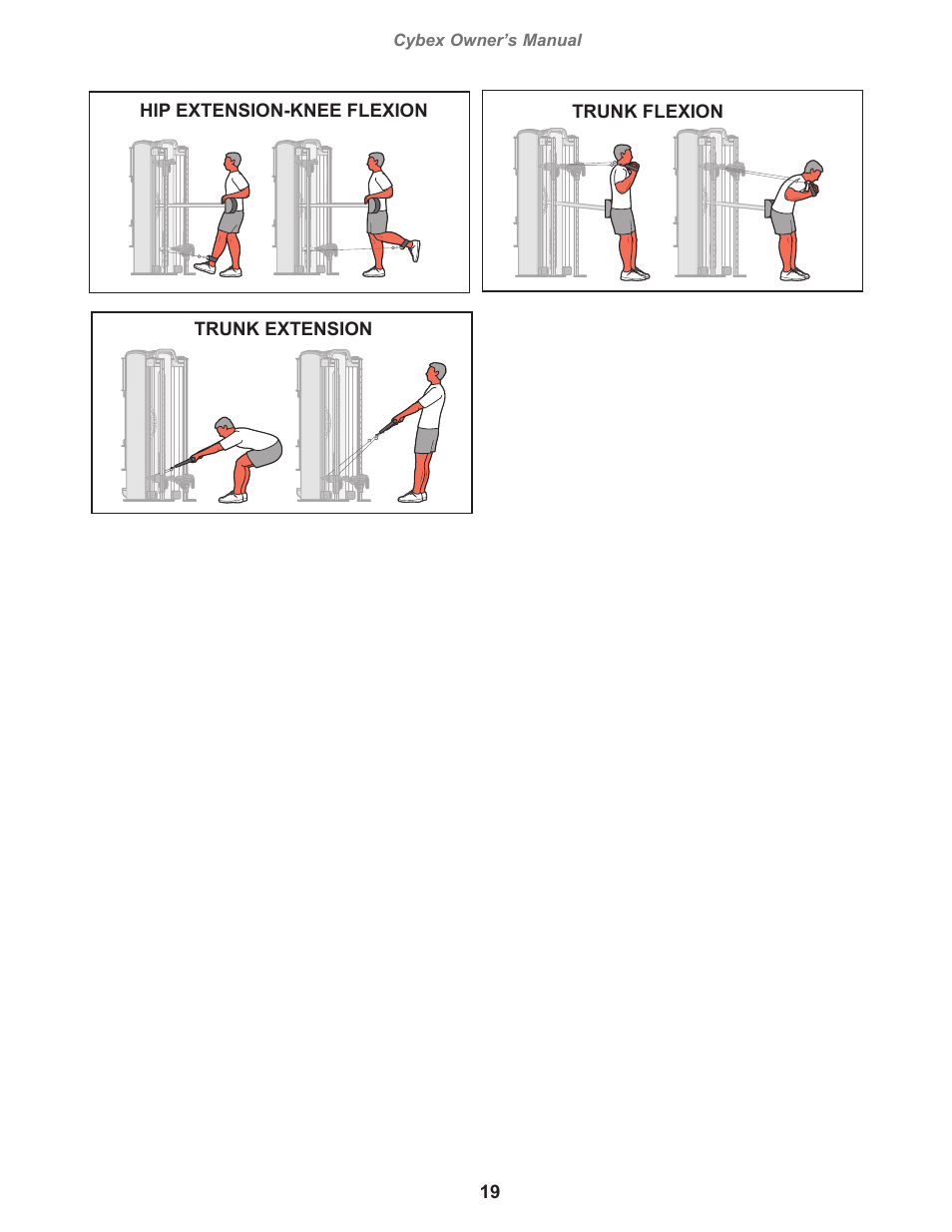 Cybex 8800 Bravo User Manual | Page 19 / 32