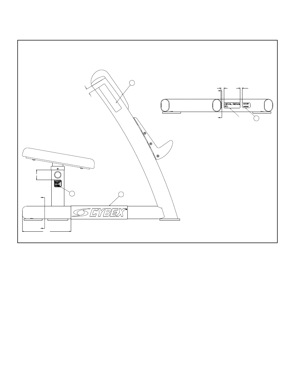 Cybex 16130 Free Weight Scott Curl User Manual | Page 17 / 20