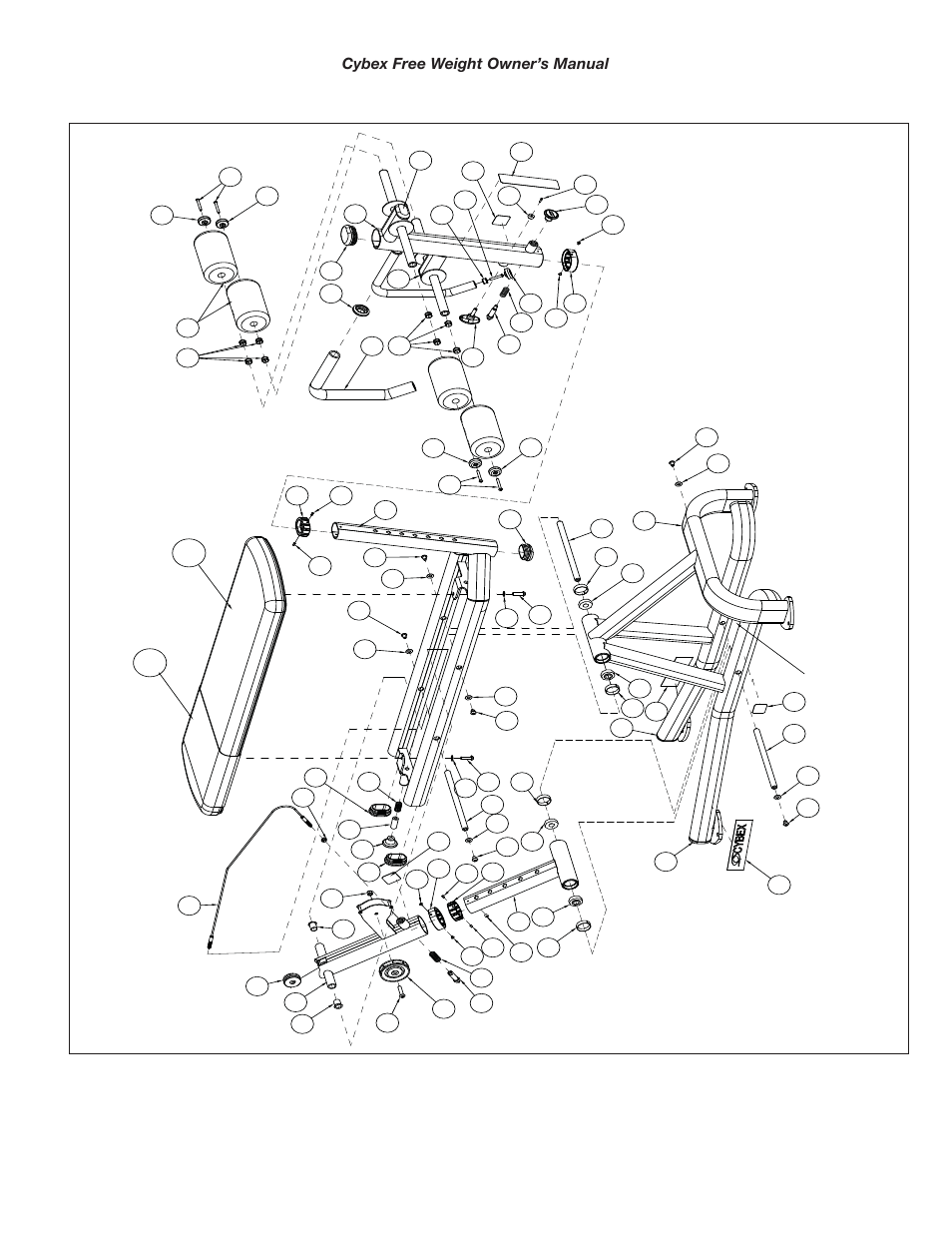 Cybex 16170 Free Weight BLAB User Manual | Page 17 / 20