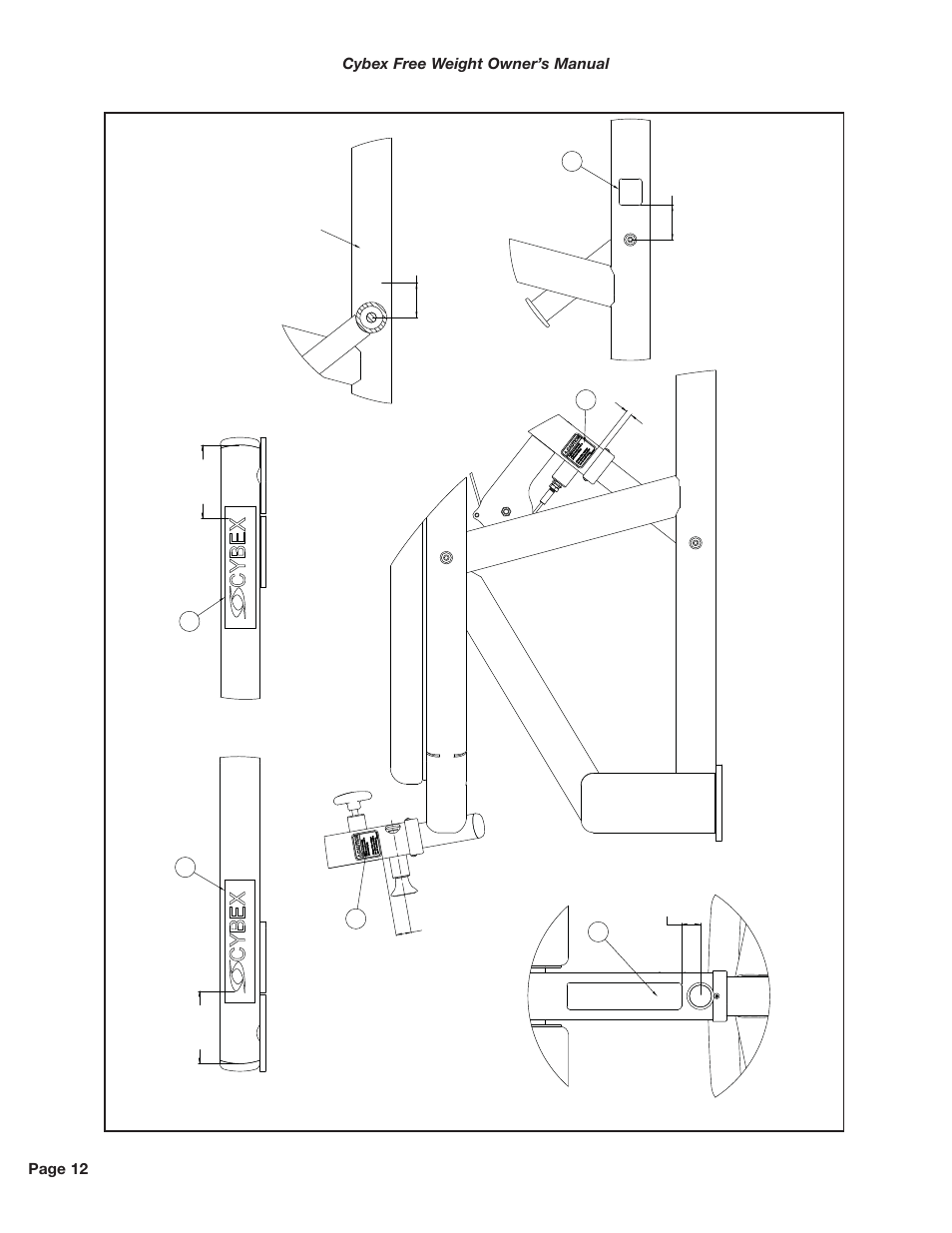 Decal placement det ail, Cybex free weight owner’s manual page 12 | Cybex 16170 Free Weight BLAB User Manual | Page 18 / 20