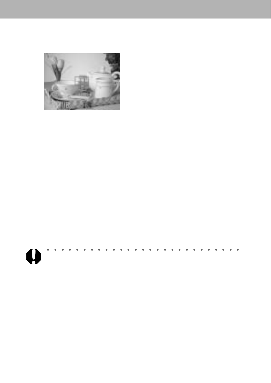 Shoot the image | Canon A60 User Manual | Page 96 / 230