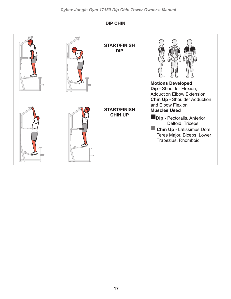 Cybex 17150 Jungle Gym Dip Chin Tower User Manual | Page 17 / 30