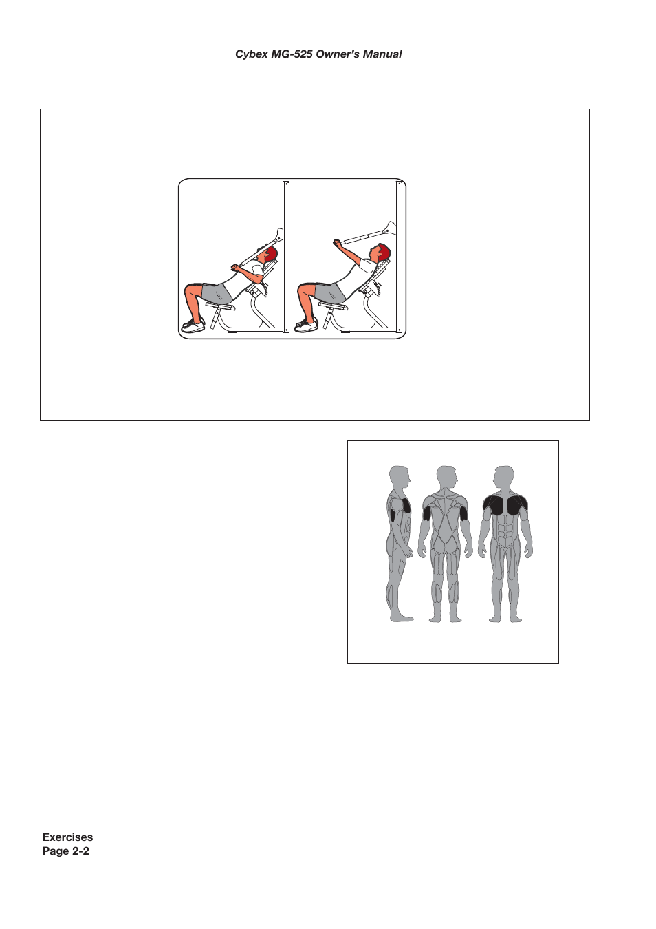 Muscles used, Chest press | Cybex MG 525 User Manual | Page 16 / 78