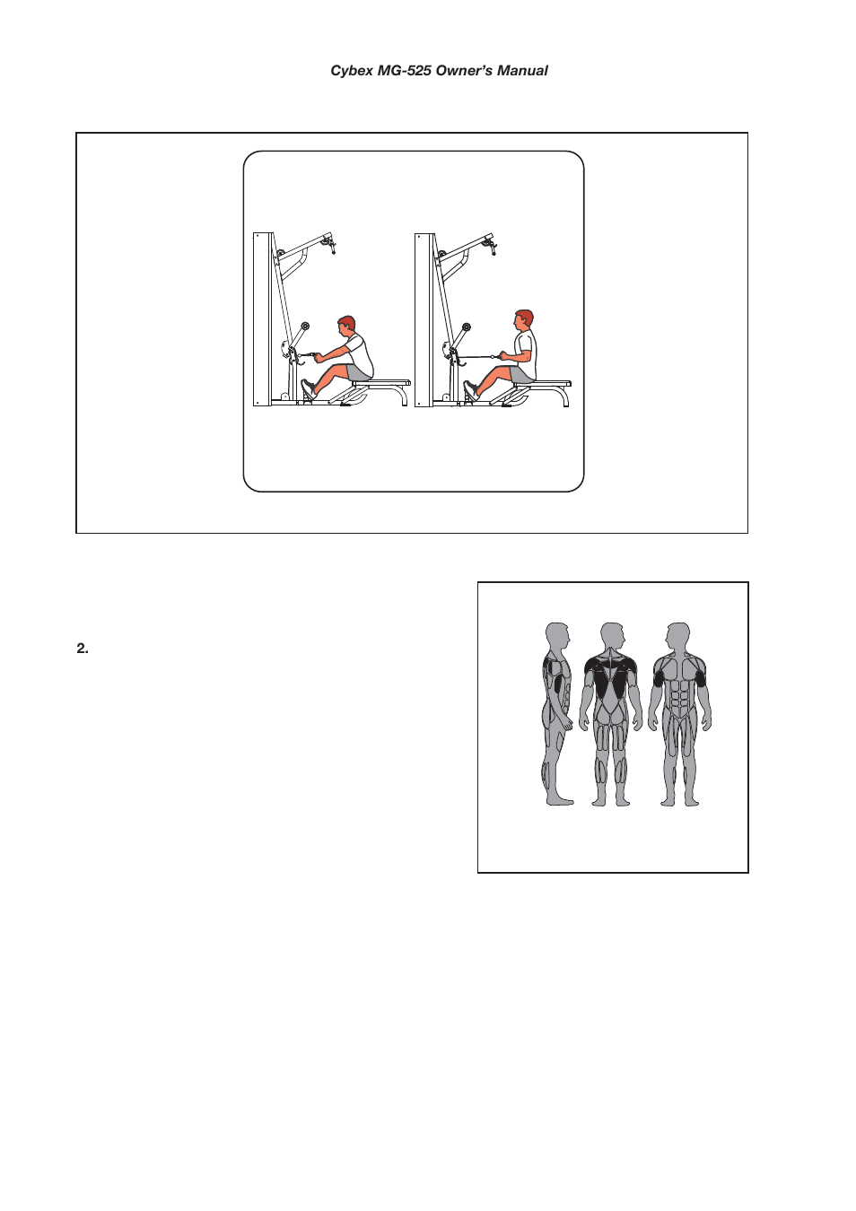 Muscles used, Low row | Cybex MG 525 User Manual | Page 19 / 78
