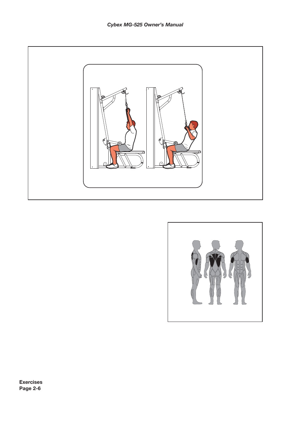 Muscles used, Lat pull | Cybex MG 525 User Manual | Page 20 / 78