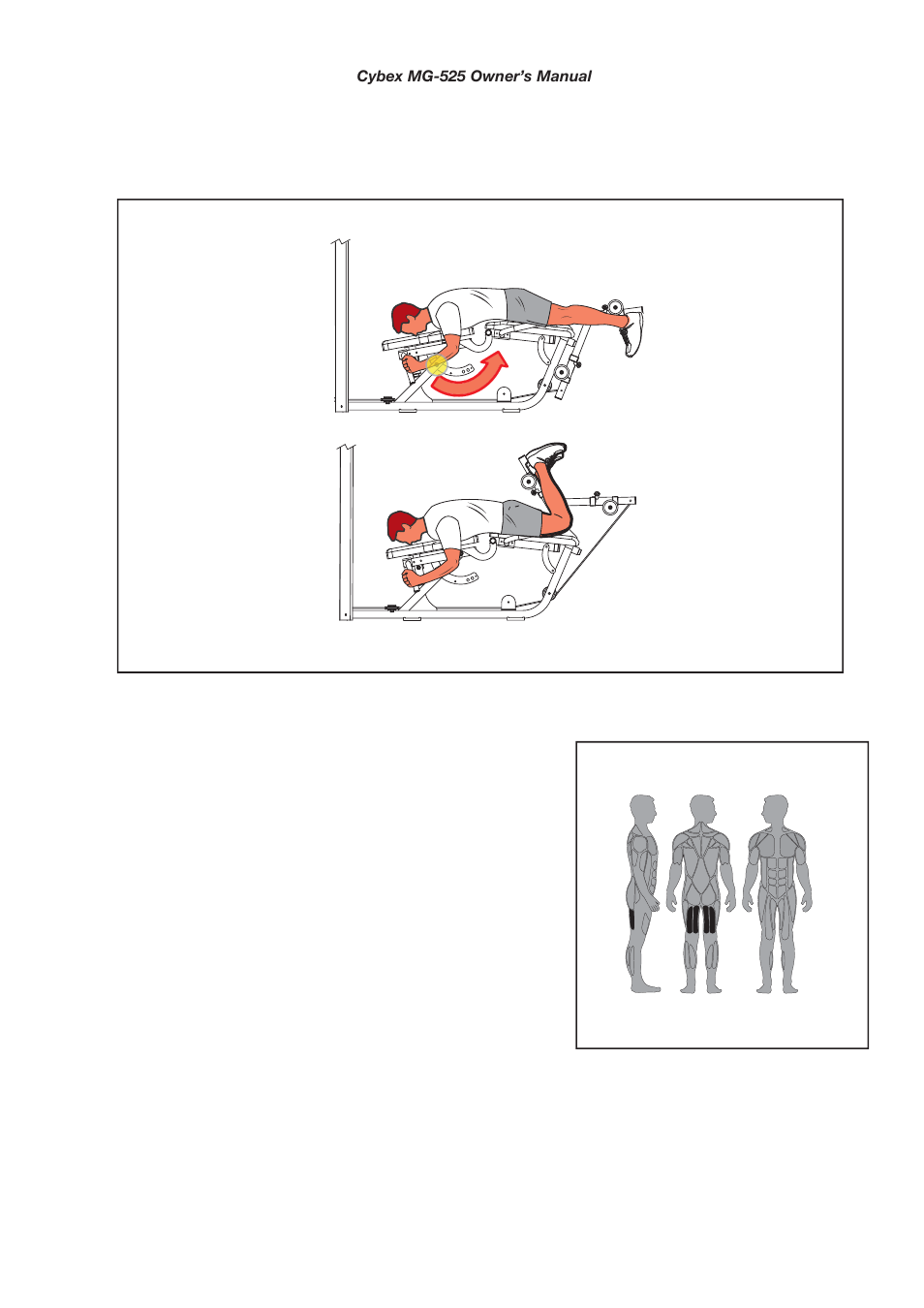 Muscles used, Prone leg curl | Cybex MG 525 User Manual | Page 21 / 78