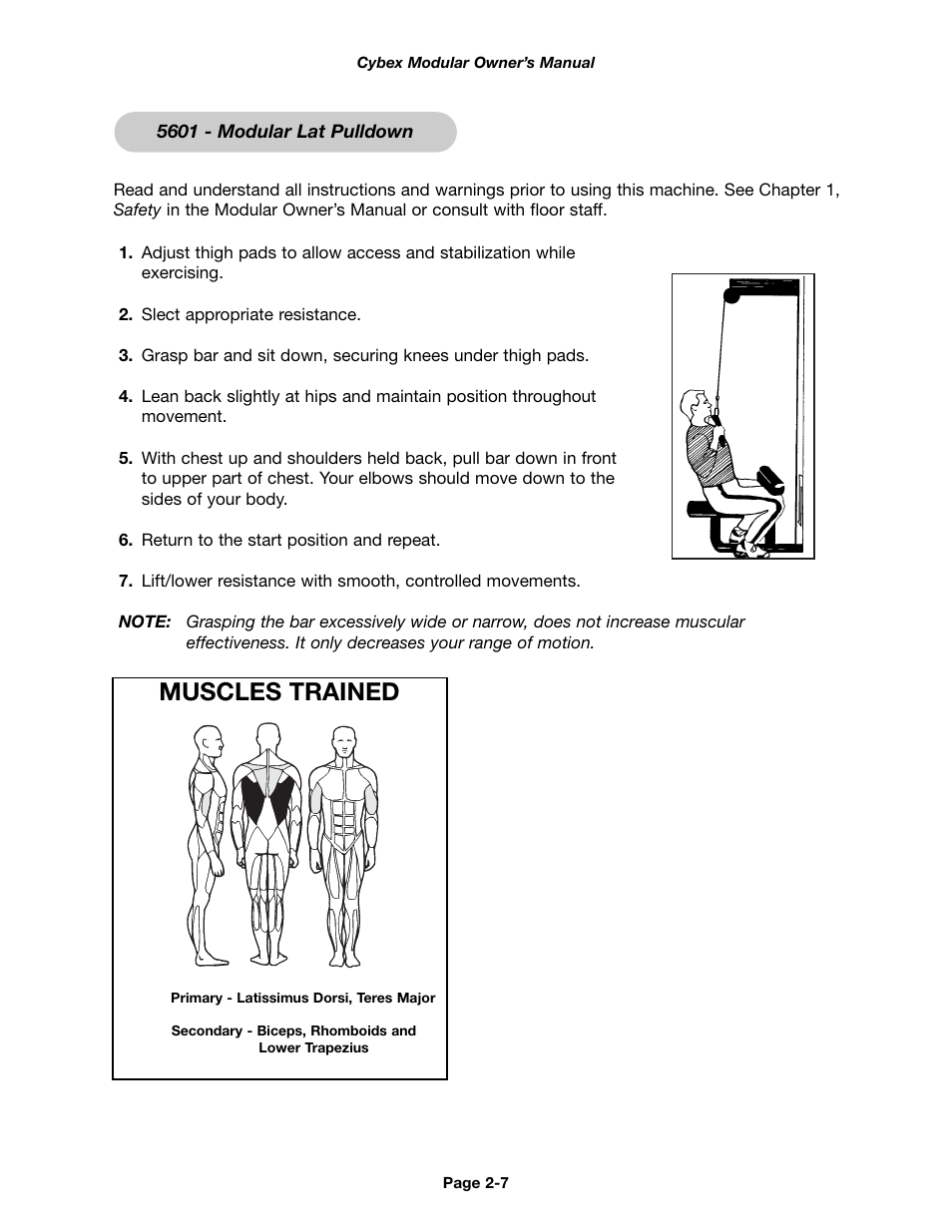 Muscles trained | Cybex 55620H Modular User Manual | Page 31 / 190